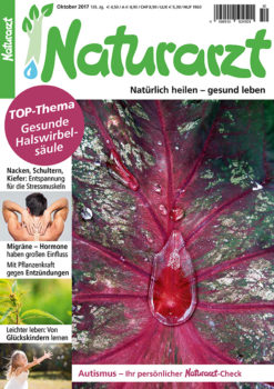 na_10_2017_titel