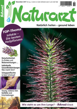 na_11_2017_titel