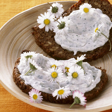 Frühlingsquark mit  Gänseblümchen