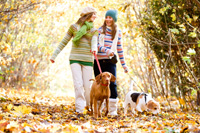 Herbstspaziergang Frauen mit Hunden