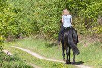 Reiten löste das HWS-Syndrom