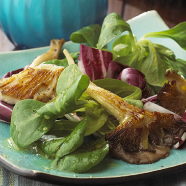 Radicchio-Salat mit marinierten Austernpilzen