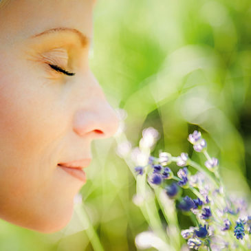 Aromatherapie: Duftende Heilkunde