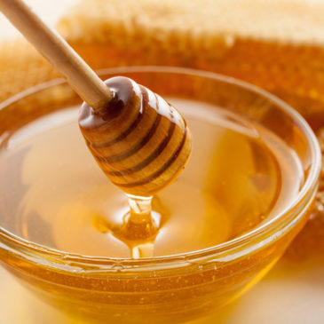 Honig: Wundheilmittel aus dem Bienenstock