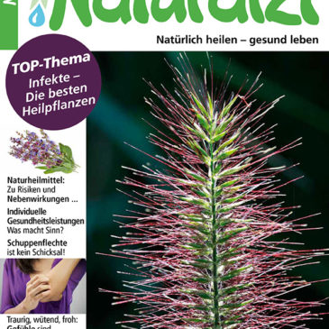 Naturarzt 11/2017