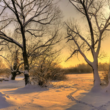 Winter: Zeit für Muße und Entspannung