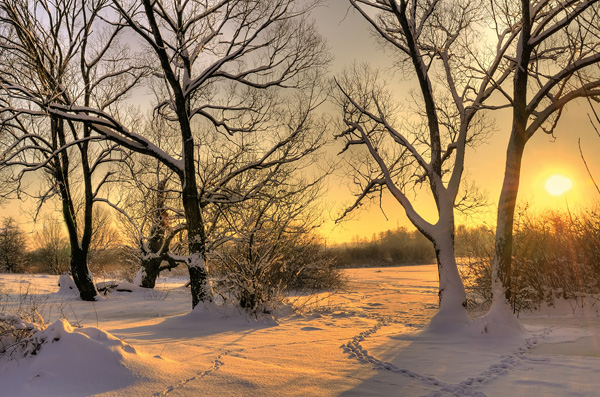 Winter: Zeit für Muße und Entspannung - Naturarzt