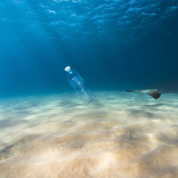 „Plastikfasten“ – der Umwelt zuliebe