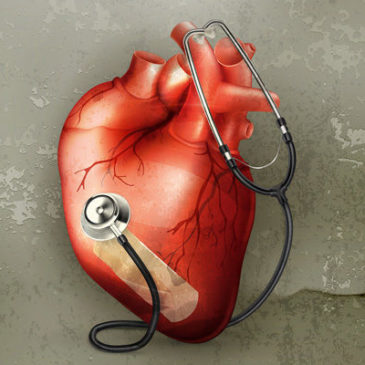 Wie gesund ist Ihr Herz?