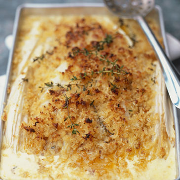 Chicoréegratin