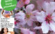 Naturarzt Heft 3 2019