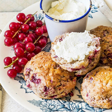 Pikante Johannisbeer-Scones