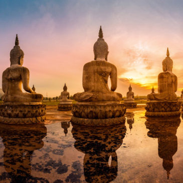 Buddhismus heute: Aufbruch nach innen