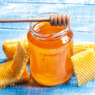 Lebenselixier Honig stärkt die Abwehr
