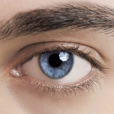 Staphisagria beruhigte entzündete Augenlider
