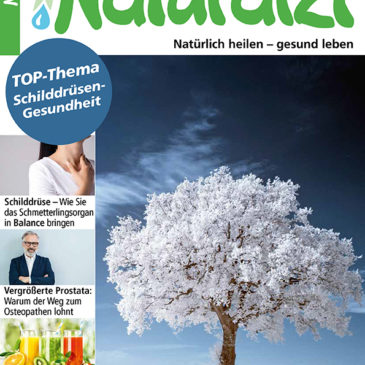 Naturarzt 12/2020