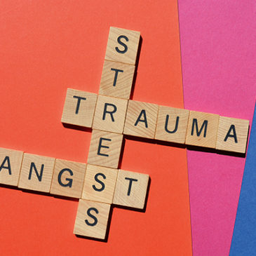 Trauma: Heile oder wunde Seele?