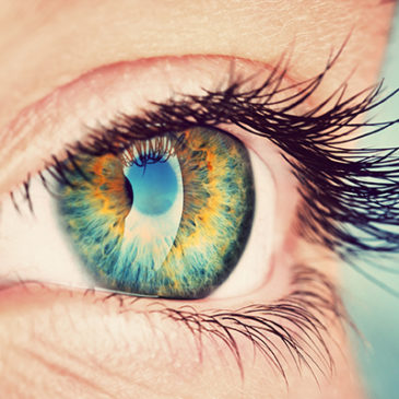 Optimierte Entgiftung der Augen bremste Makuladegeneration
