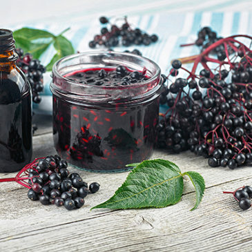 Schwarze Beeren für Genuss und Gesundheit