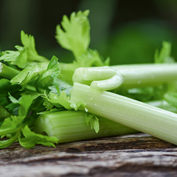 Die knackigen Stangen haben viel zu bieten