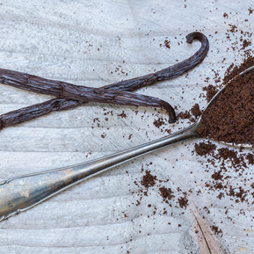 Königin der Gewürze: Vanilla planifolia