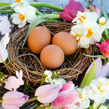 Aus dem Ei gepellt: Ostern als Mythos