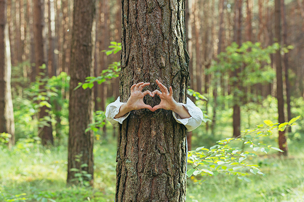 Mensch hinter Baum formt davor Hände zu Herz