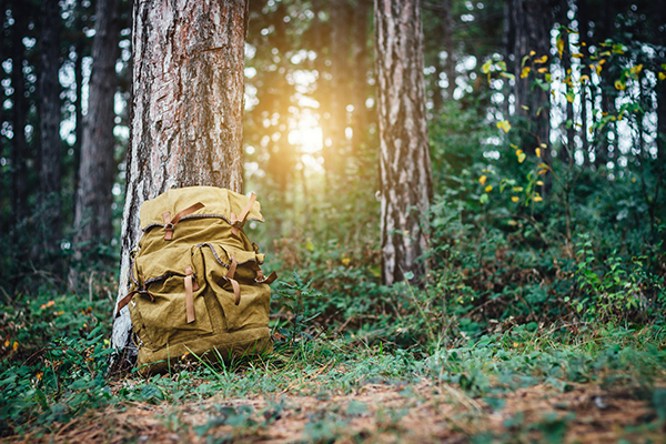 Im Wald am Baum abgestellter Wanderrucksack