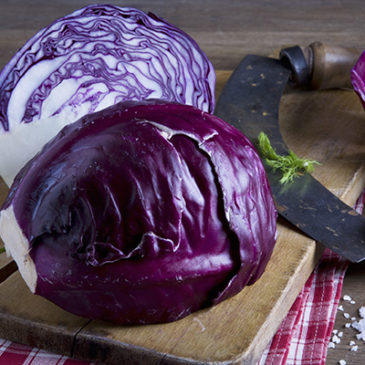 Farbenfrohes Wintergemüse: roh und gekocht ein Genuss