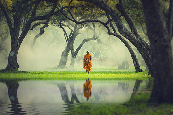 Buddhistischer Mönch am Gewässer, Bäume