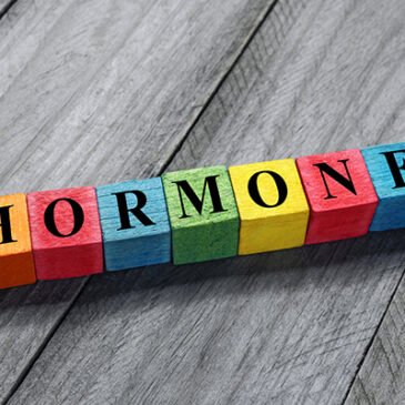 Hormone – Alles im Gleichgewicht?