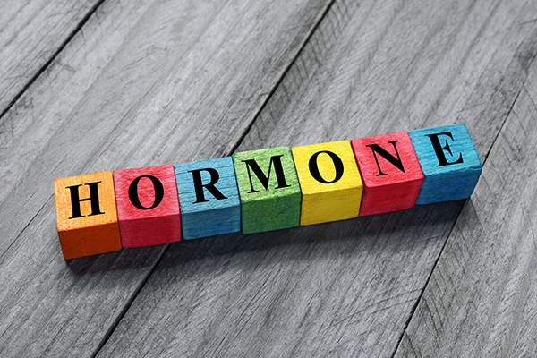 Bunte Holzklötze mit Buchstaben: Hormone