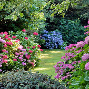 Der Garten als Spiegel der Seele