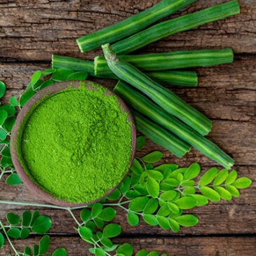 Moringa unterstützte Herz und Gefäße