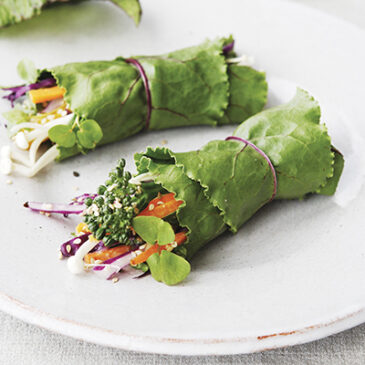 Pikante Gemüse-Salat-Wraps mit Pflaumen-Dip