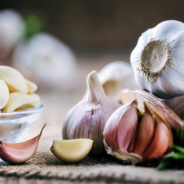 Aromatische Knollen: Würze mit Wirkung