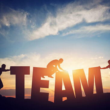 Einzelgänger oder Teamplayer?