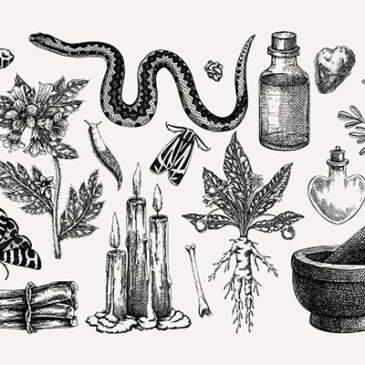 Giftpflanzen in Garten und Natur