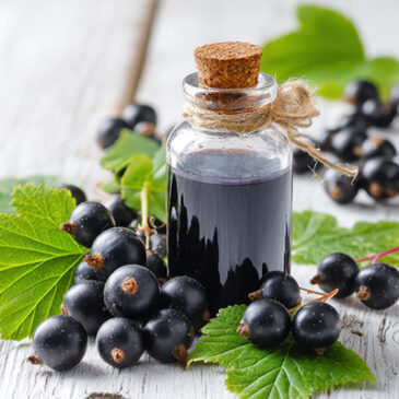 Einstieg in die Knospenmedizin