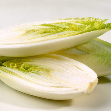 Wintergemüse mit Charakter