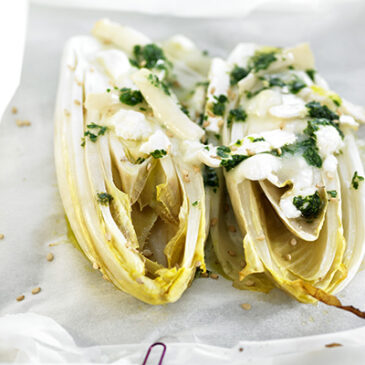 Chicorée mit Ziegenkäse im Backpapier gegart