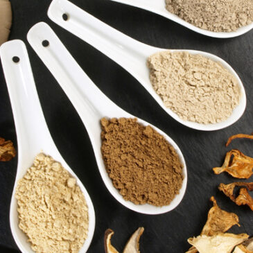 Mit Heilpilzen gut durch die Wechseljahre