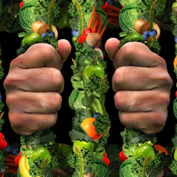 Orthorexie: Zwanghaft gesund?