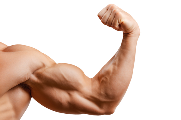 Mann zeigt seinen muskulösen Arm