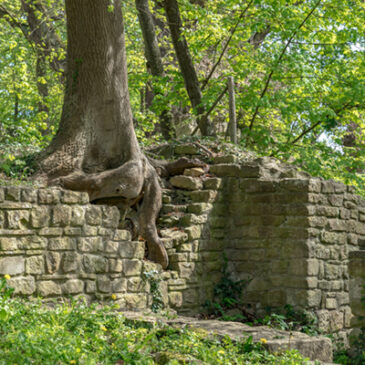 Hildegard: Tugenden als heilende Kräfte