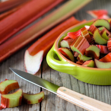 Mehr als Kompott: Rhabarber neu entdeckt