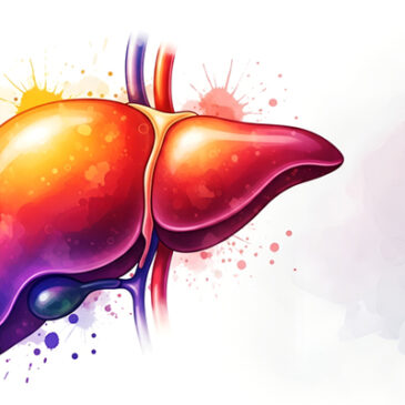 Leber, Galle, Pankreas: ein Team für Gesundheit