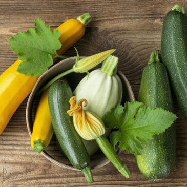 Zucchini: Das schlichte Multitalent in der Küche
